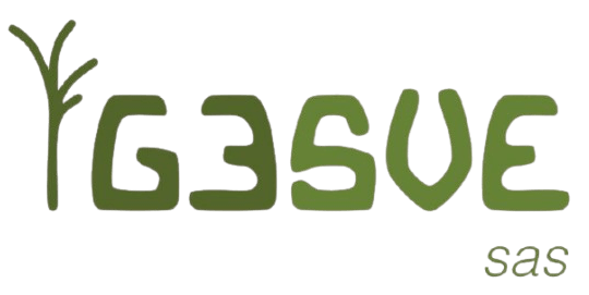 Logo GESVE SAS